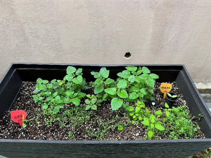 Self Photos / Files - 18