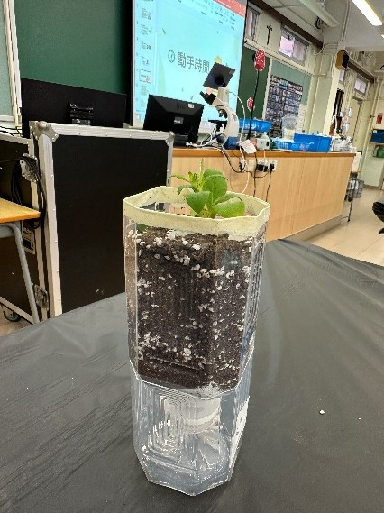 Self Photos / Files - 16