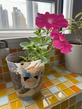 Self Photos / Files - 14